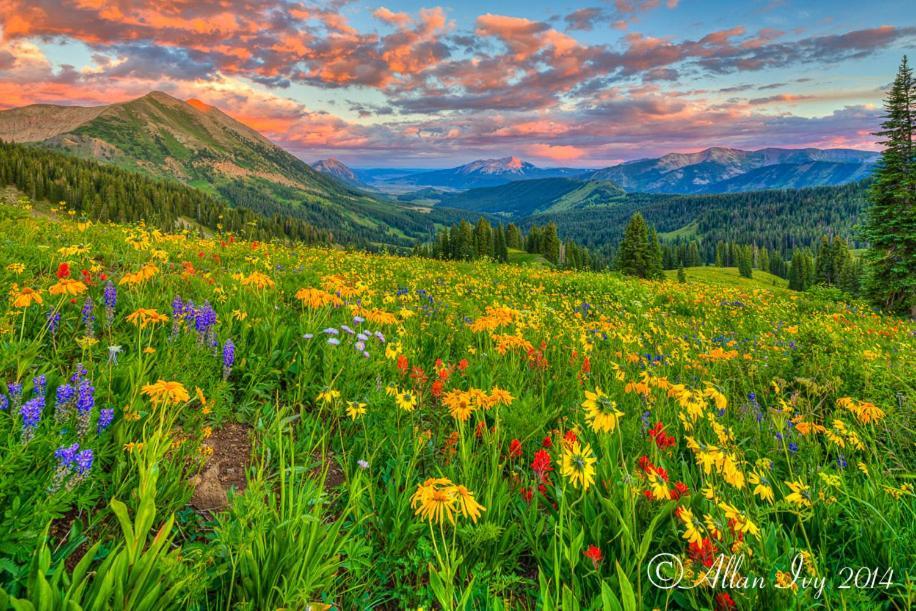 Alpine Inn & Suites Gunnison Bagian luar foto